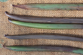 Different drying phases
